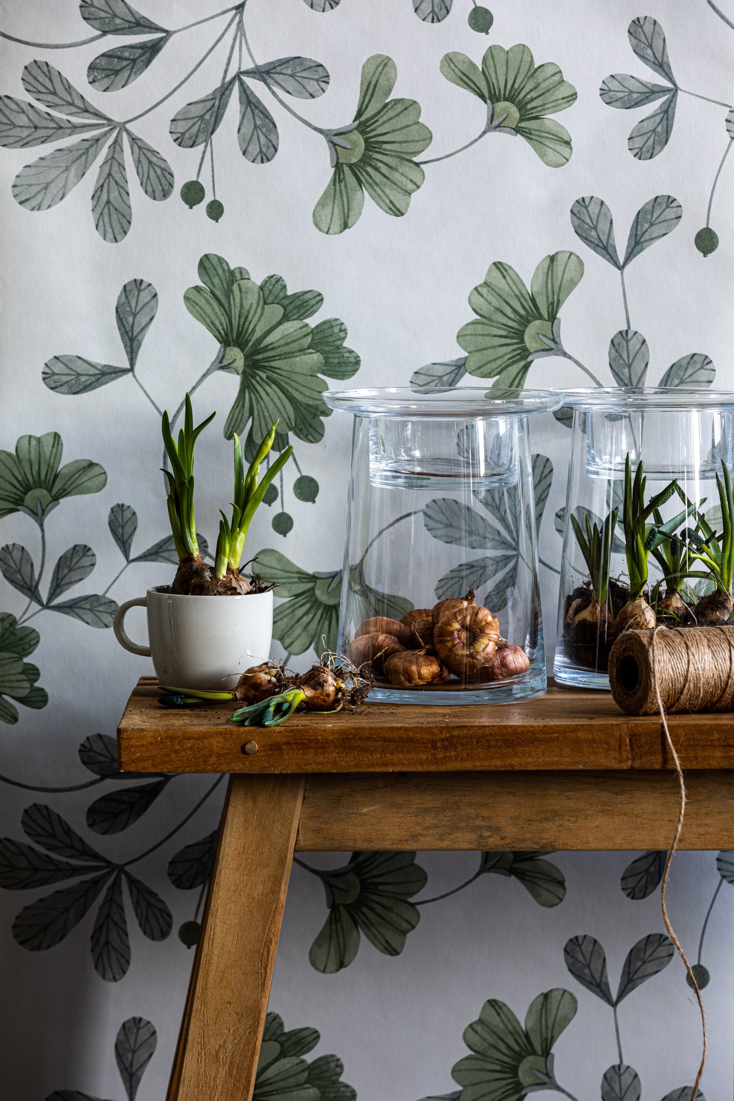 Shop The Look: Kaunis kasviterraario on helppo tapa tuoda vihreyttä kotiin! - PENTIK