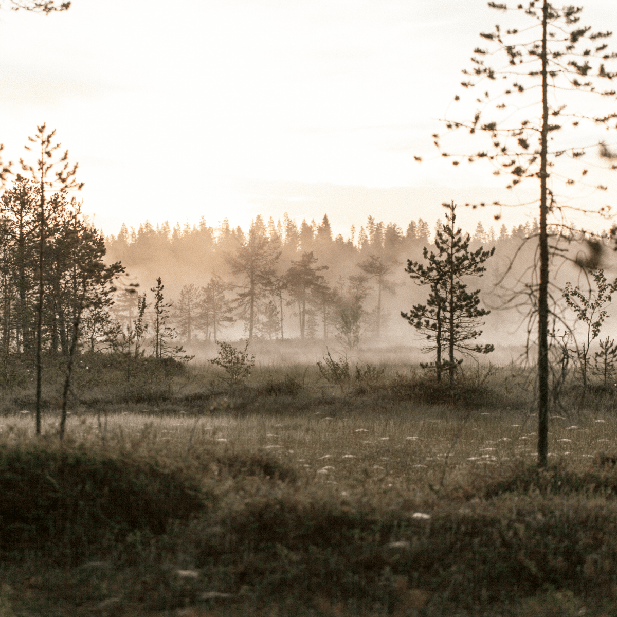 Kaamos Art Kynttilänjalka - PENTIK - Sisustus/Kynttilät/Kynttilänjalat