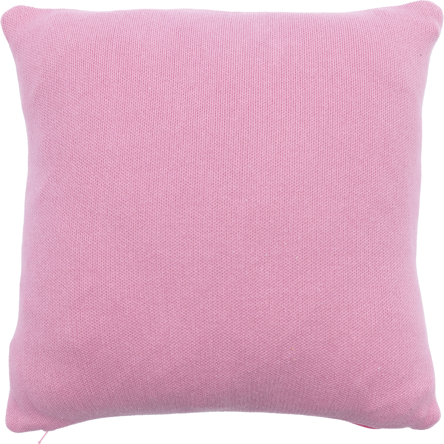 Vasa Tyynynpäällinen