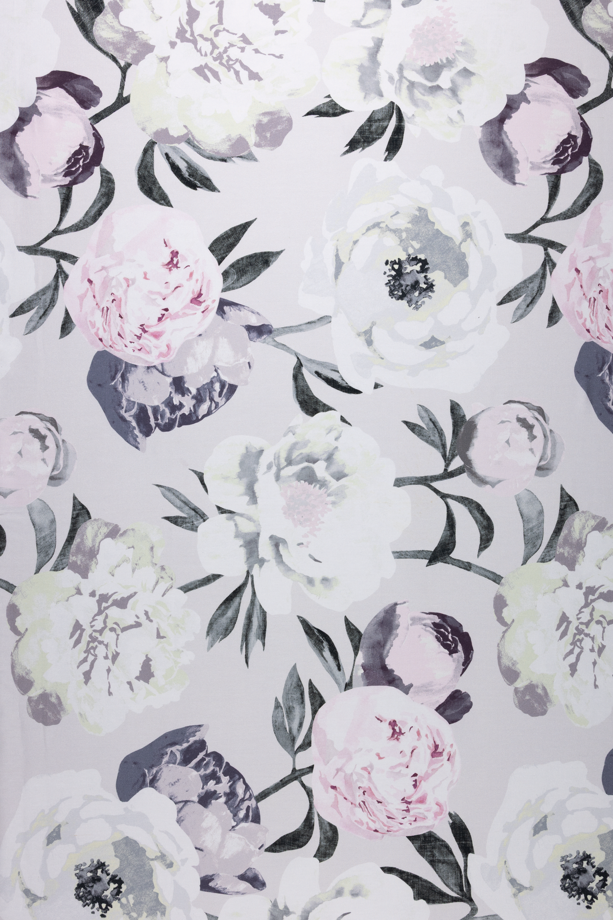Pioni Coated Cotton Fabric
