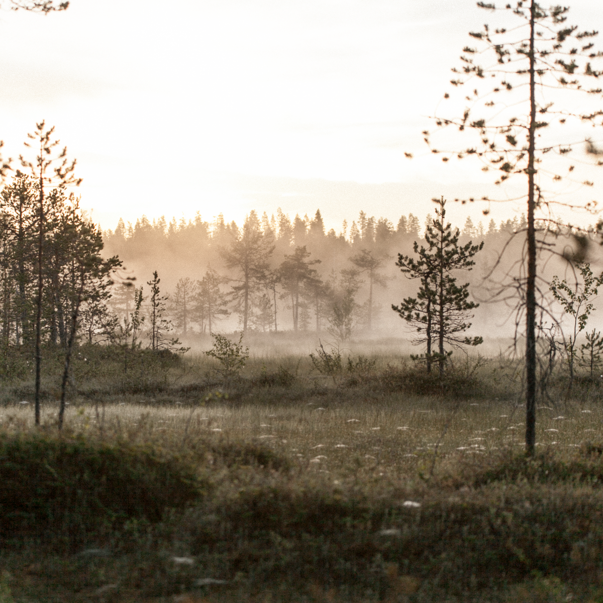 Kaamos Art Kynttilänjalka
