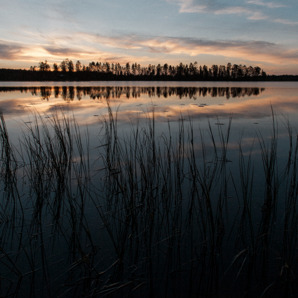 Ulpukka Lämpökynttiläkuppi