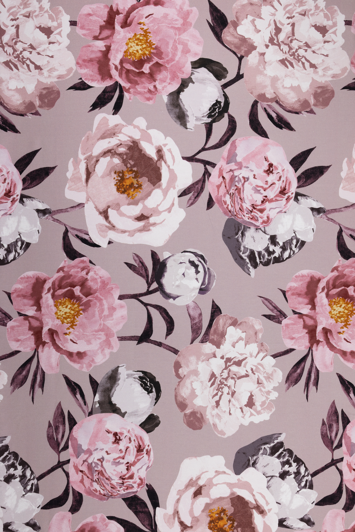 Pioni Coated Cotton Fabric