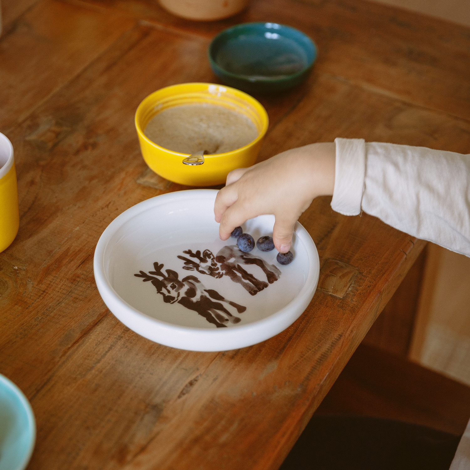 Vasa Soup Plate