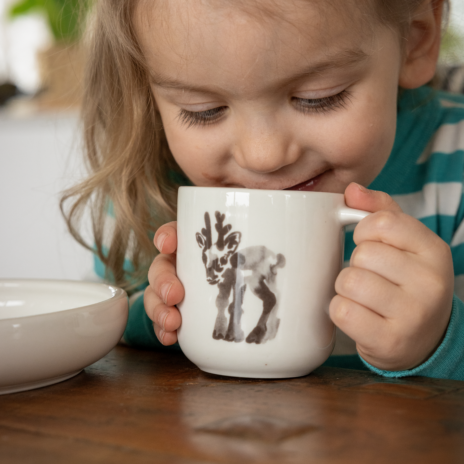Vasa Mug