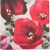 Amaryllis Servietti